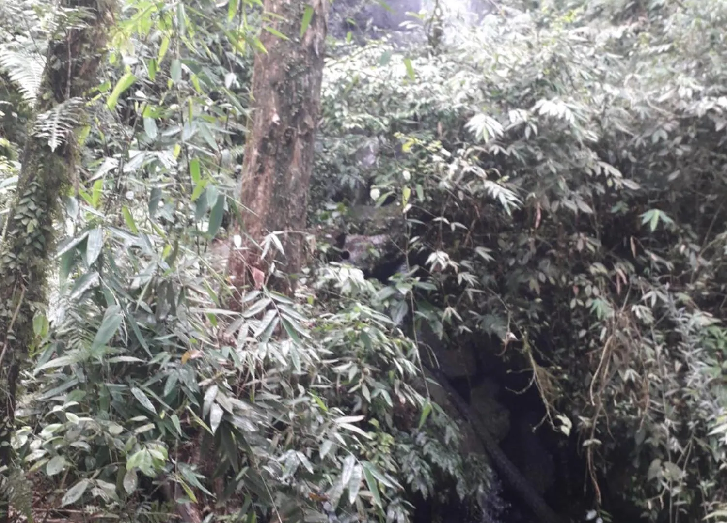 Sitio Vo Leonidia - Turismo Rural Ilha Grande